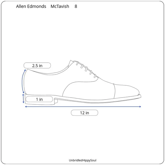 Allen Edmonds McTavish Wingtip Oxford Dress Shoe Size 8