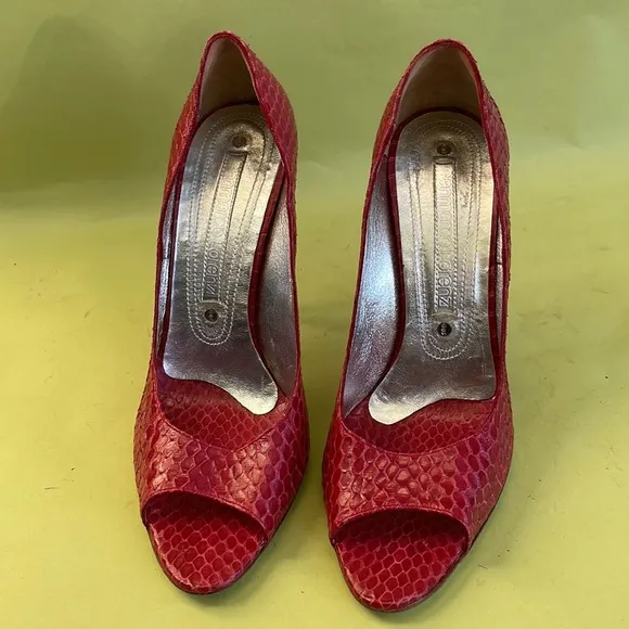 Burgundy/silver Gianmarci Lorenzi snake skin/leather heels