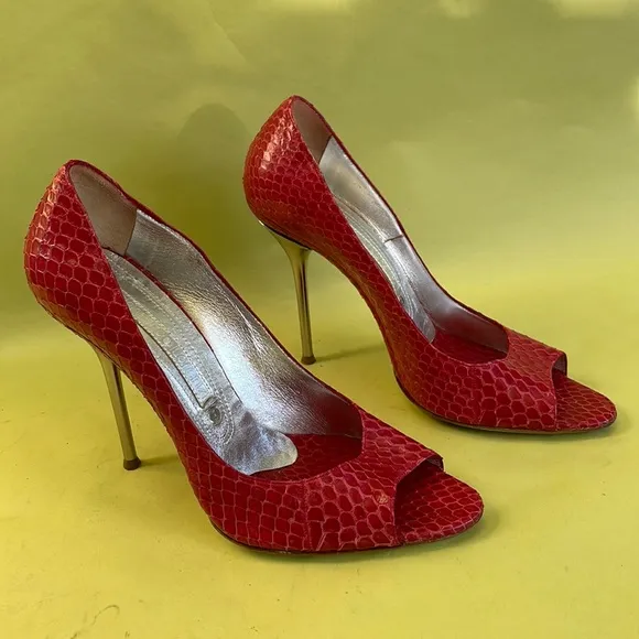 Burgundy/silver Gianmarci Lorenzi snake skin/leather heels