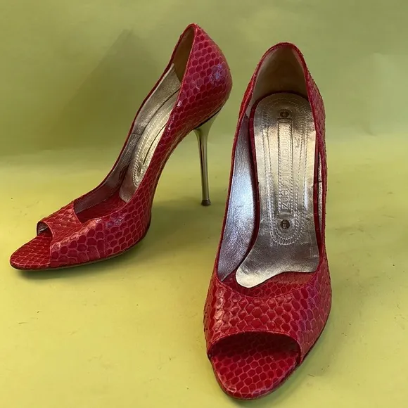 Burgundy/silver Gianmarci Lorenzi snake skin/leather heels