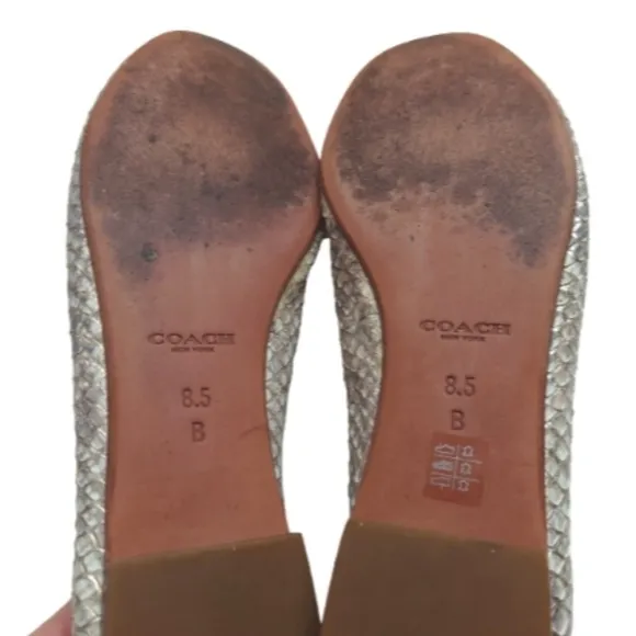 COACH Snakeskin Catrin Flats Size 8.5B