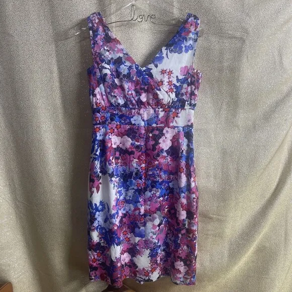 Erdem Sleeveless V-Neck Pink &amp; Blue Floral Sheath Dress Sz 6