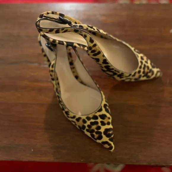 Gianvito Rossi Anna 55 Leopard Print Women's Shoes