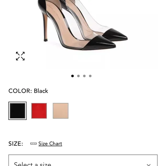 Gianvito Rossi plexi patent pumps