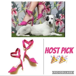 🎉HP🎉 Marion Parker Woman’s Magenta Suede Leah Heels Size 40 (US 9)