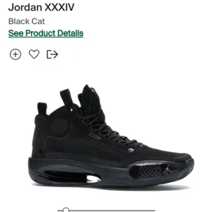 Jordan XXXIV Black Cat Air Jordan BQ3384-003 Youth