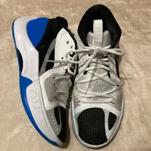 Jordan Zoom Separate Size 10