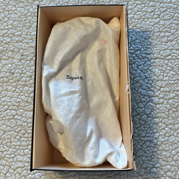 Repetto Cendrillon Ballerina Flats