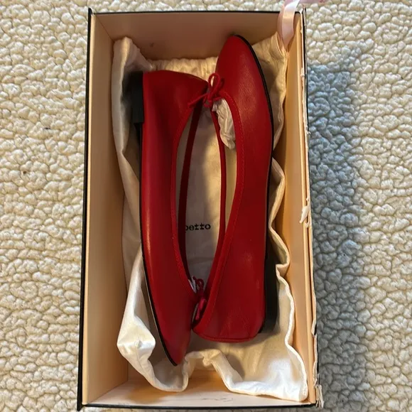 Repetto Cendrillon Ballerina Flats