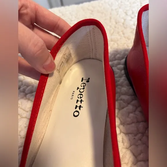 Repetto Cendrillon Ballerina Flats