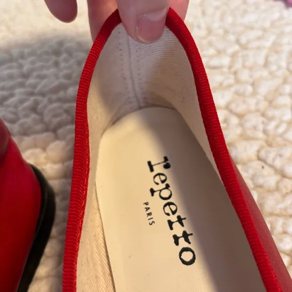 Repetto Cendrillon Ballerina Flats