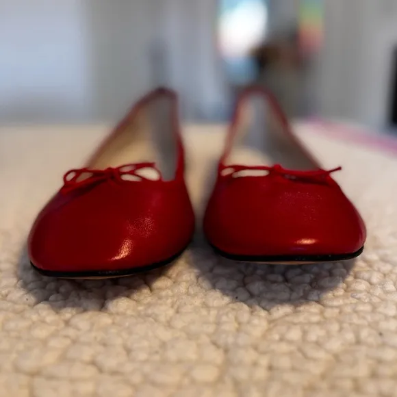Repetto Cendrillon Ballerina Flats