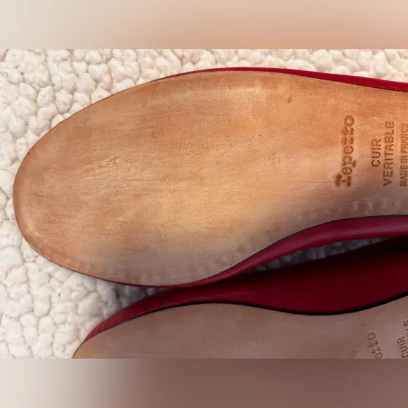 Repetto Cendrillon Ballerina Flats