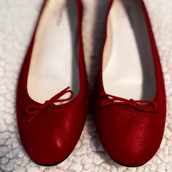 Repetto Cendrillon Ballerina Flats