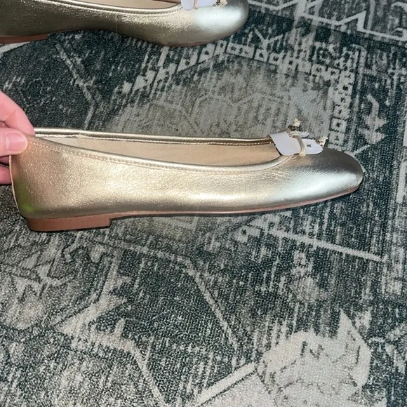 Sam Edelman FELICIA LUXE BALLET FLAT size 6