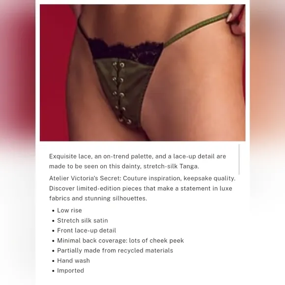 Victoria's secret luxe stretch silk SEXY Atelier Satin Lace tanga panty MEDIUM